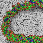 electron microscope photo of a microDNA circle