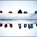 engineers try to shrink diagnostics