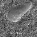 esm-rock-surfaces