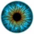 eye-human