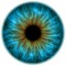 eye-human