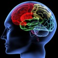 focused ultrasound device to temporarily disrupt the blood-brain barrier and target discrete regions of the brain