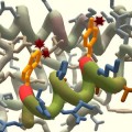 foldit-crowdsourcing-protein-redesign