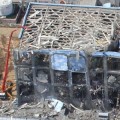 fukushima-disaster