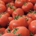 geneticaly-modified-tomato