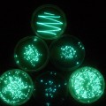 glowing-bacteria-petri-dish