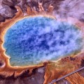 grand-prismatic-thermophile