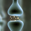 graphic depicting a synapse, a connection between brain cells