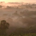 how aerosol particles form in the Amazon