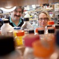 how animals detect pathogens
