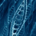 how common gene mutation affects kids with autism
