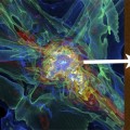 how the Universe is thought to have evolved