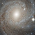 hubble views spiral galaxy NGC 3344