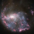 hubble views spiral galaxy NGC 922