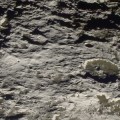iapetus-saturn-terminator