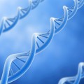 integrated map of genetic variation from 1,092 human genomes