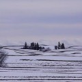 irrigation-non-viable