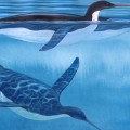 kairuku-penguin-diving