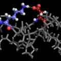 lab encodes collagen
