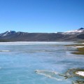 lake-vida-microbial-life