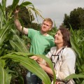 low oxygen levels could change the way we breed plants