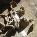 megafaune-pleistocene-mexico