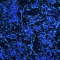 microbes-sea-bed
