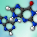 molecular structure of guanine and adenine