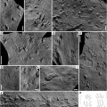 more-batrachichnus-salamandroides