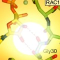most comprehensive picture yet of the molecular landscape of melanoma