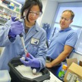 nanoparticle probes that may lead to a better understanding of diseases