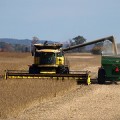 nanoparticle-soybean