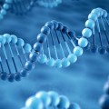 nanoparticles that target the soft underbelly of many types of cancer