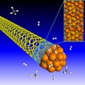 nanotube growth