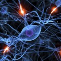 neurons-firing-tdcs