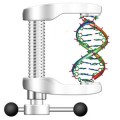 new algorithm that drastically reduces the time it takes to find a particular gene sequence in a database of genomes