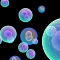 new therapies for treating fibrosis and tumor metastasis