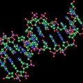 new transcription factors that can bind to DNA and turn on specific genes