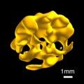 new way of seeing inside solid objects