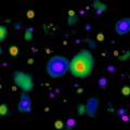 no evidence of knots in the fabric of space known as cosmic textures