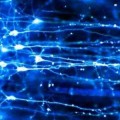 optogenetics-brain