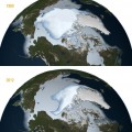 perennial sea ice has declined from 1980 to 2012
