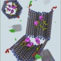 programmable DNA nanorobot