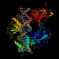 researchers have deduced the shape of 18 families of transmembrane proteins