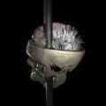 researchers map damaged connections in Phineas Gage's brain