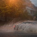 rising-seas