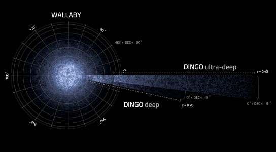 simulated galaxies ASKAP surveys WALLABY and DINGO are predicted to find