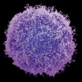 single-cell-genomics