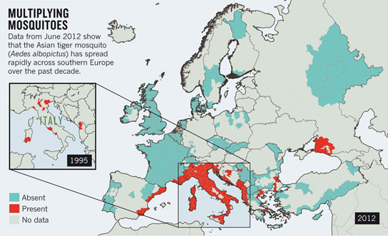 spread-mosquito-europe