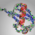 structural diagram of the protein ubiquitin